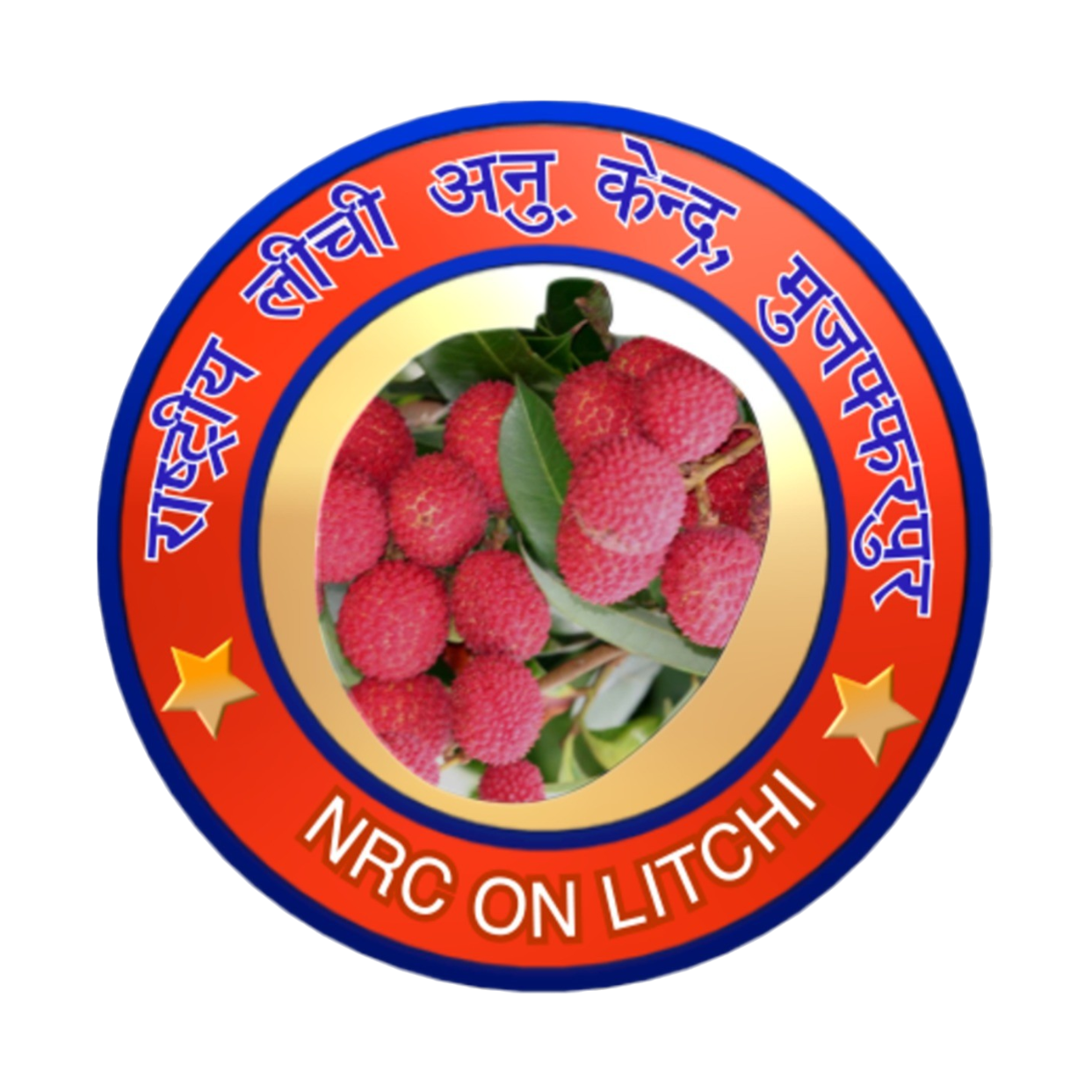 Weed Barrier Mat Supplier in India